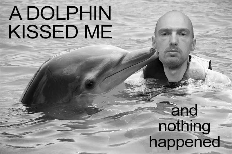 dolphin