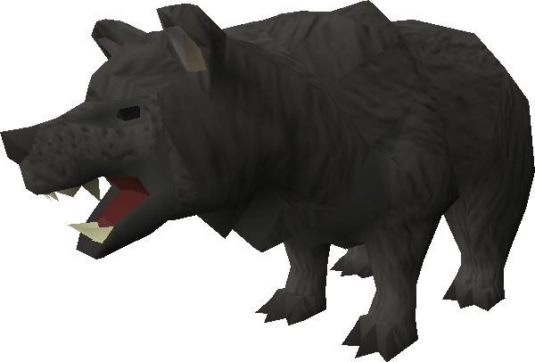 runescape bear