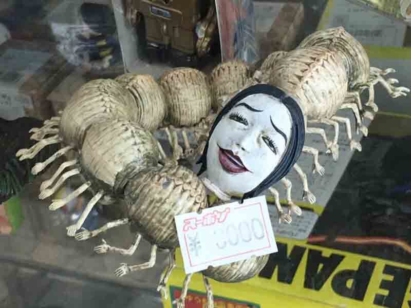 centipede