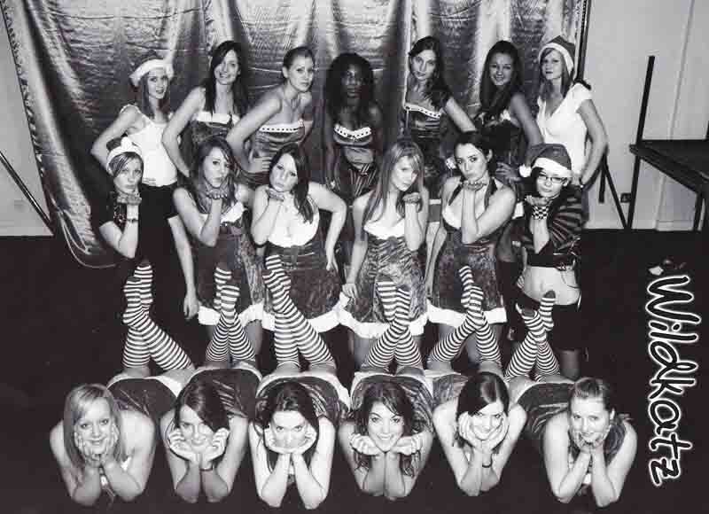 wildkatz