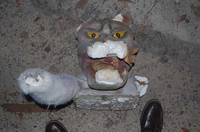 haunted house cat