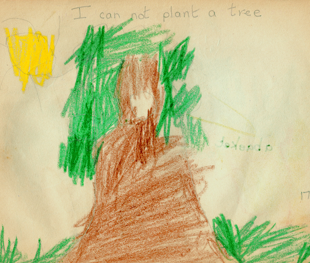 nursery book paul tree