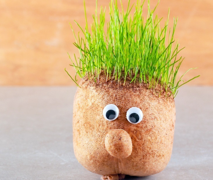Cress head small 2x